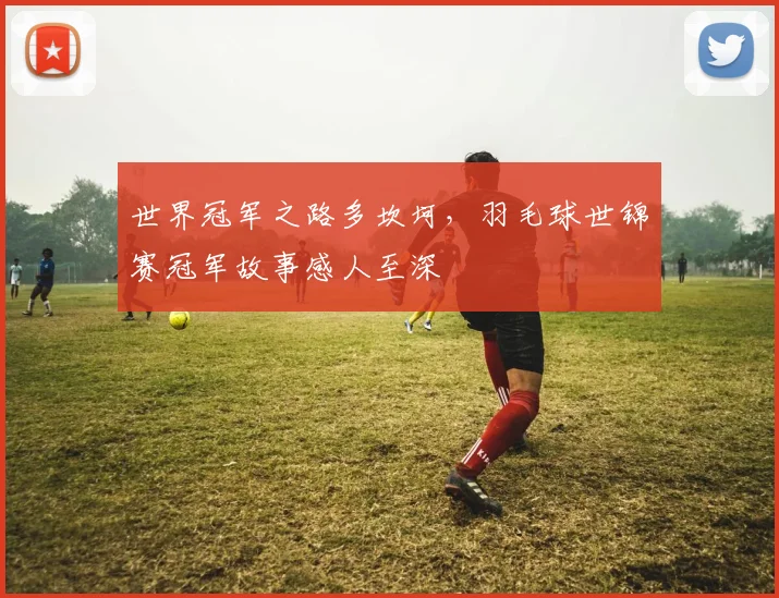 世界冠军之路多坎坷,羽毛球世锦赛冠军故事感人至深